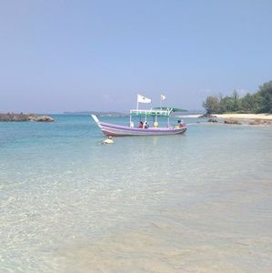 Meet your Posher, Serena